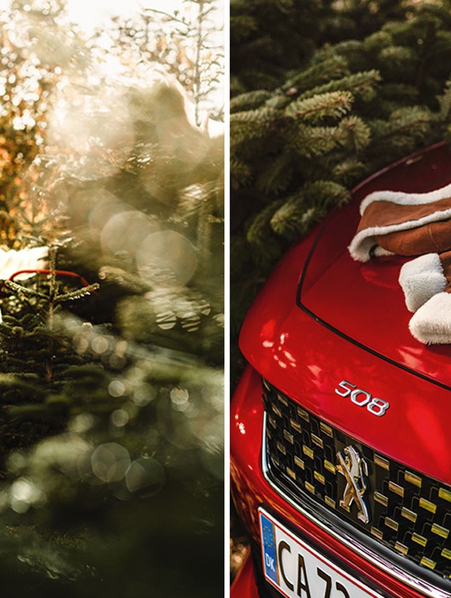 Kør julen i møde med den nye Peugeot 508