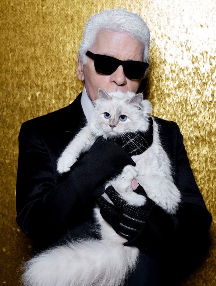 Karl Lagerfelds kat levede luksuslivet, vi andre kun kan drømme om